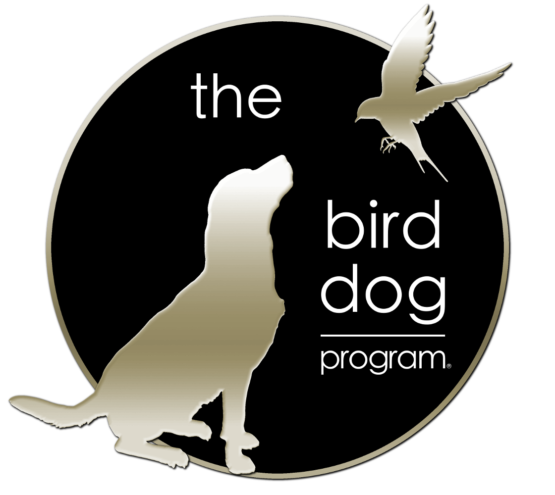 The Bird Dog Real Estate Investment and Short Sale Program with The Short Sale Gal Kristine Zelazo