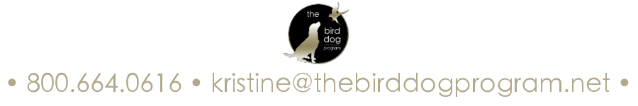 Contact The Bird Dog Program Real Estate Investing and Short Sale Program