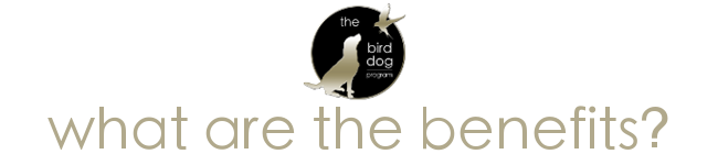 What are The Benefits of The Bird Dog Program?